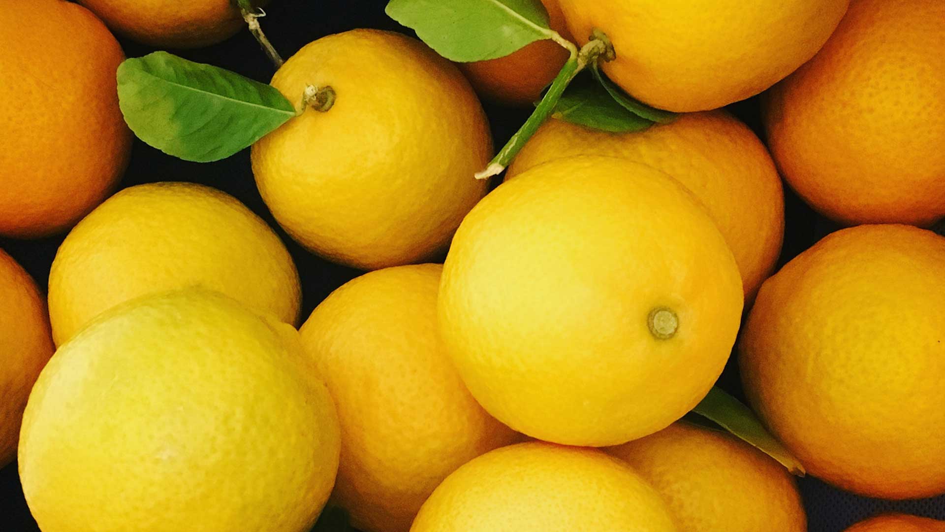 Elixir_lemons_master